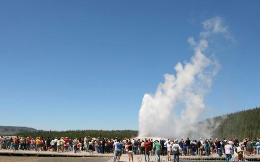 Old Faithful