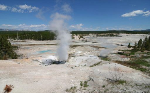 Norris Geyser Basin