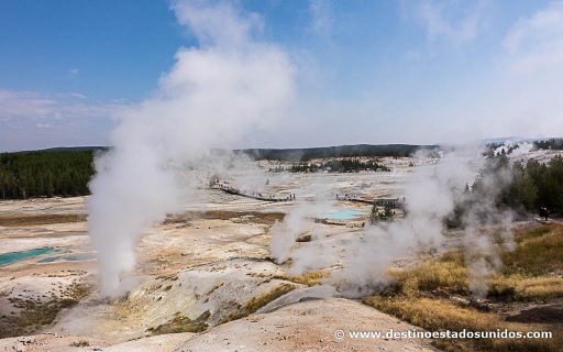 Norris - Porcelain Basin